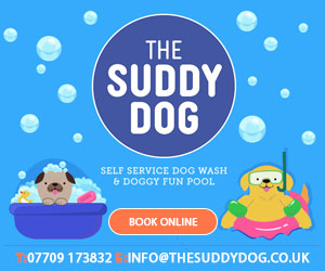 The Suddy Dog