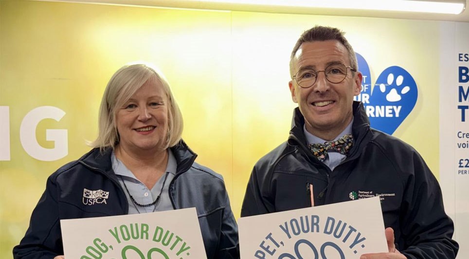 Rescue Centres Facing Seasonal Surge