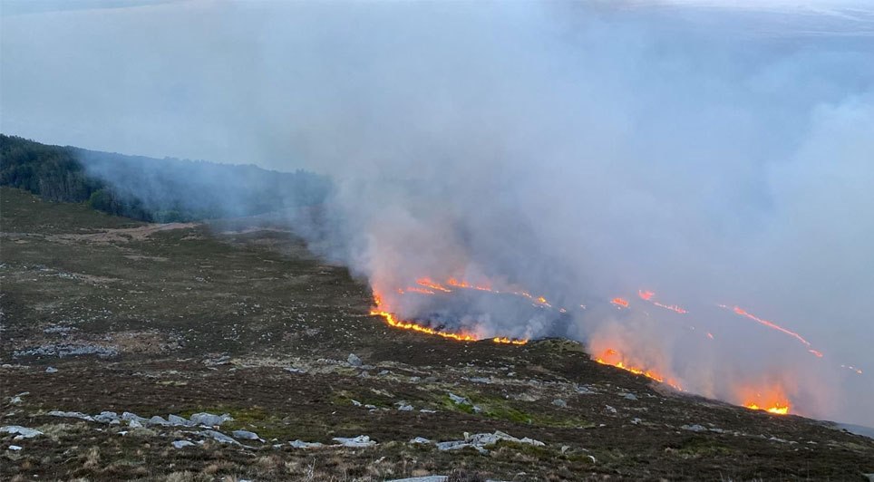 Almost 100 Firefighters Remain At The Scene