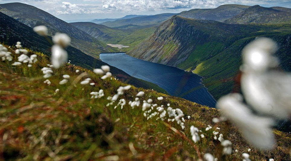 Cross-Govt Group Will Coordinate Efforts To Protect The Mournes